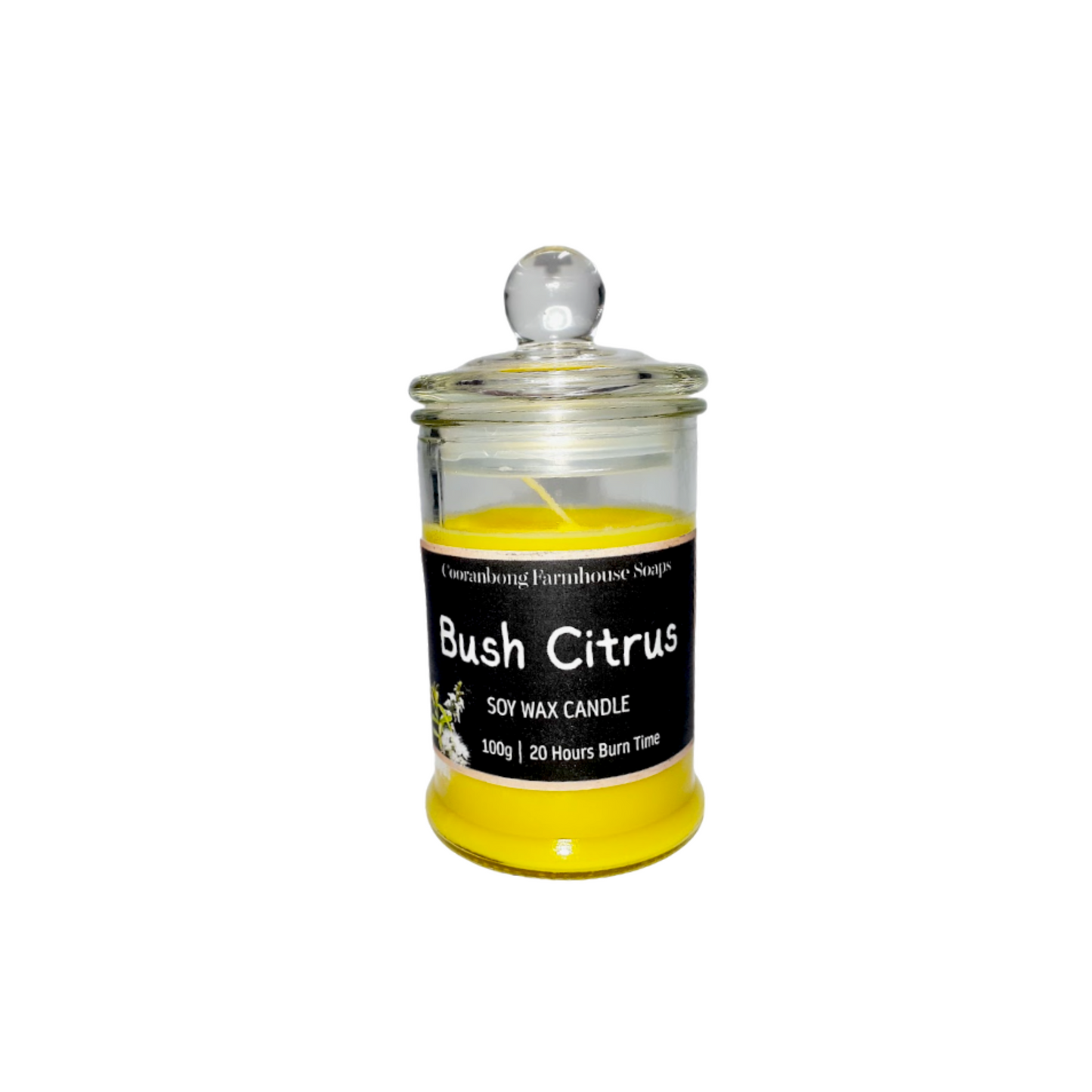 Bush Citrus Soy Wax Candle